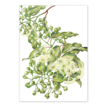 Card gift2 l Flower Mint l Bendigo Florist