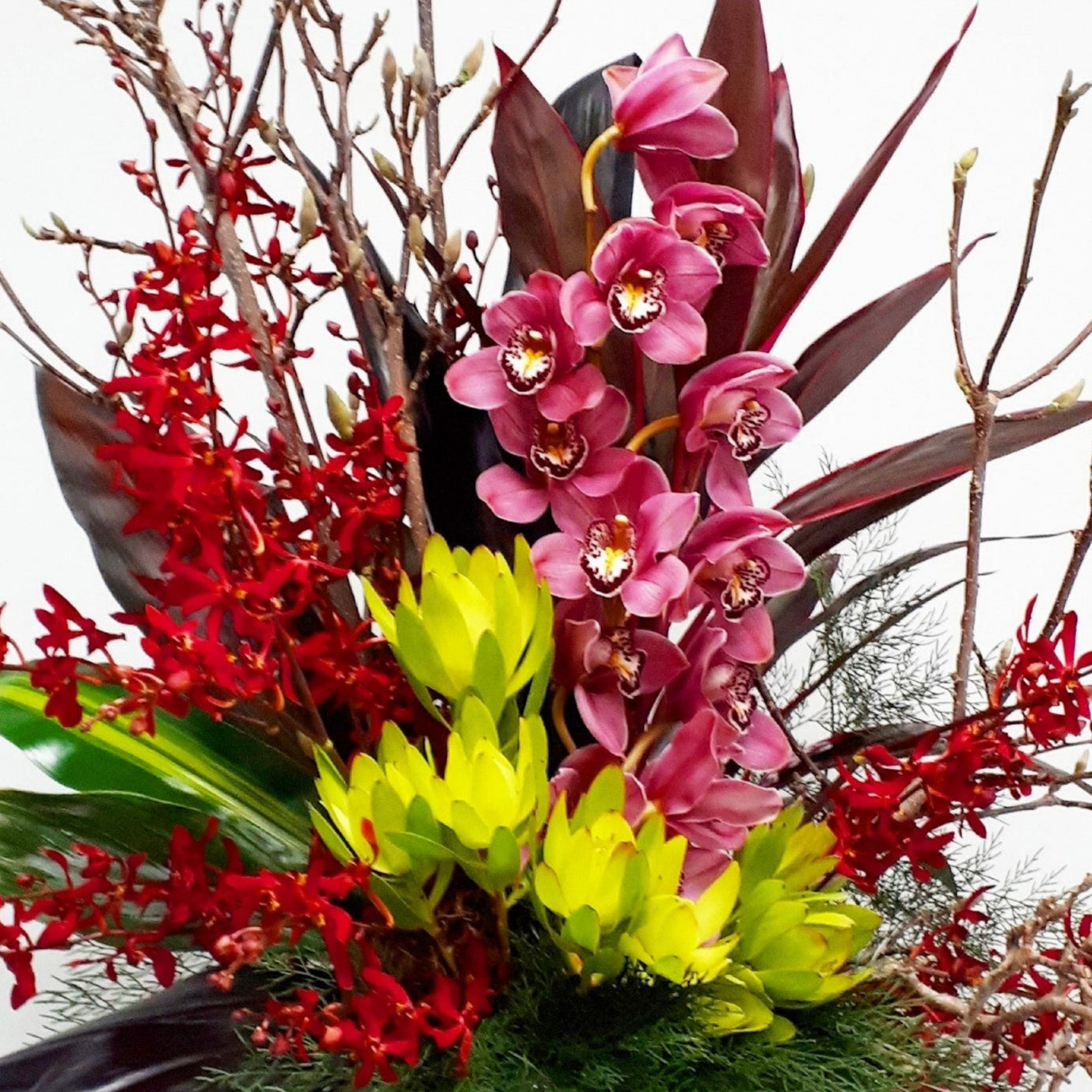 Event_Large_Orchid_l_Flower_Mint_l_Bendigo_Florist