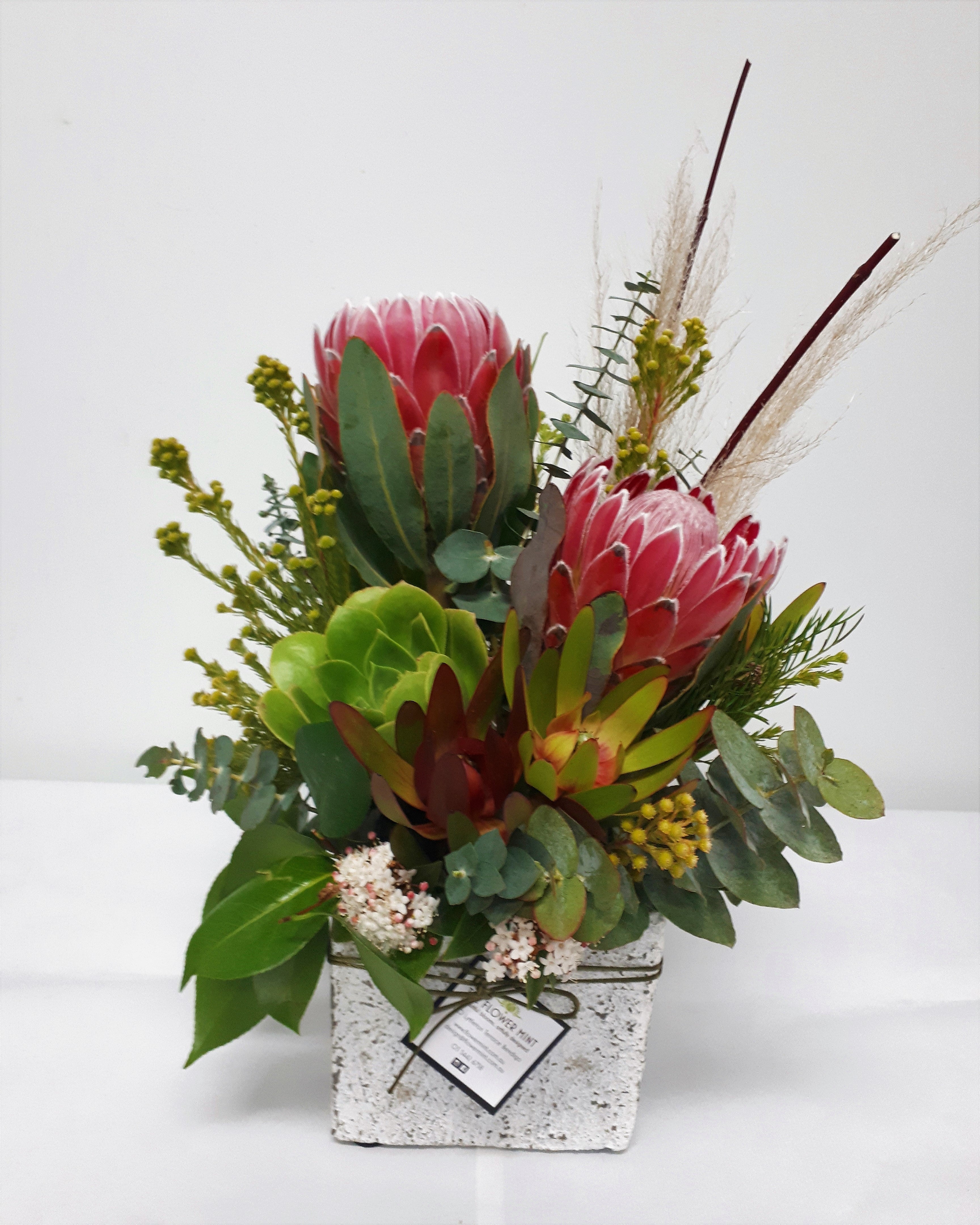 A–Z of Australian and South African Native Flowers l Flower Mint