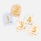 Baby Milestone Cards5 l Flower mint l Bendigo Florist