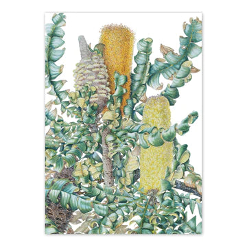 Book Mark 2 l Flower Mint l Bendigo Florist