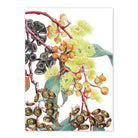 Card gift 10 l Flower Mint l Bendigo Florist