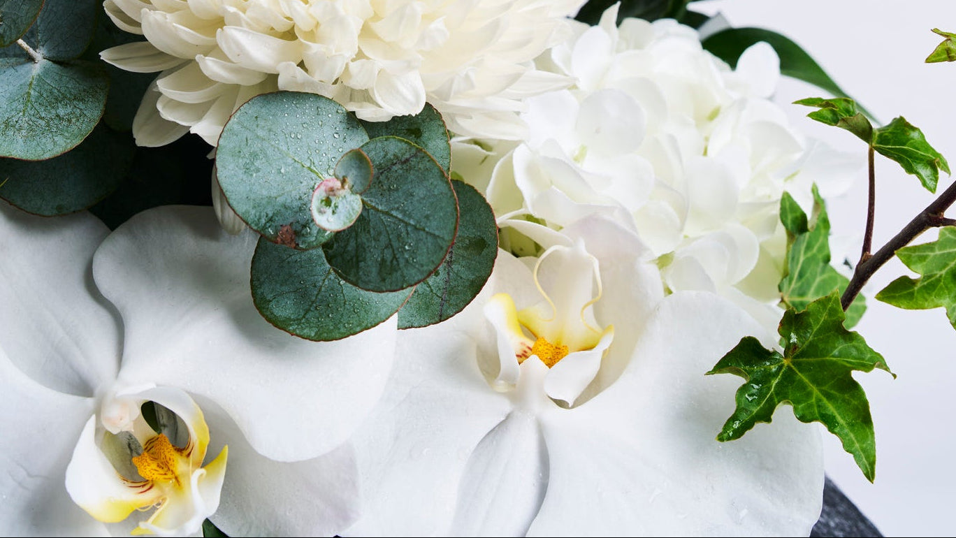 Close-up of a bouquet with white flowers, green leaves, and orchids on a light background