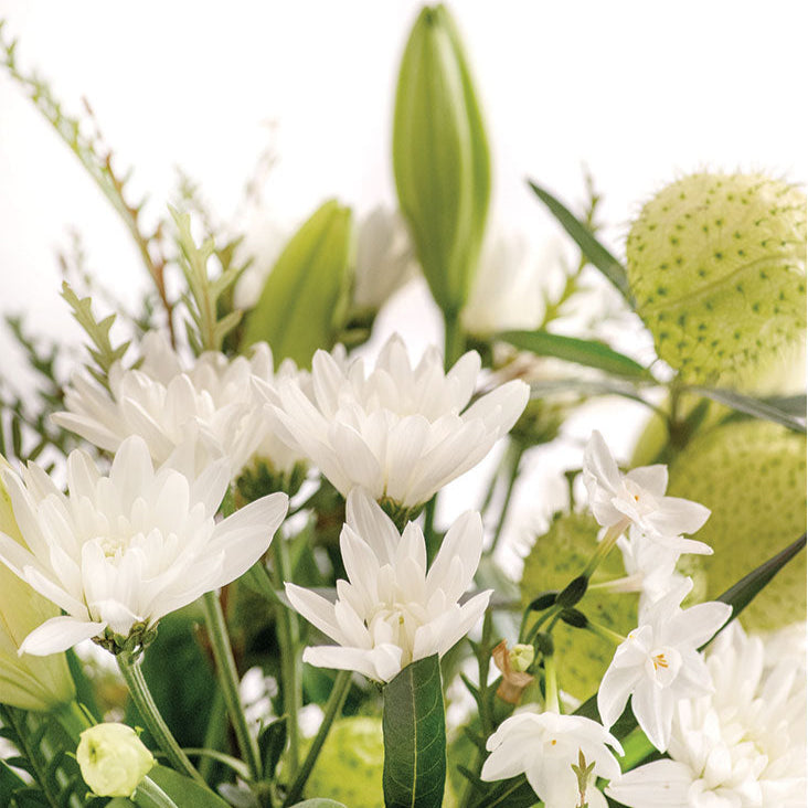 Bloom_Box_White2_l_Flower_Mint_l_Bendigo_Florist