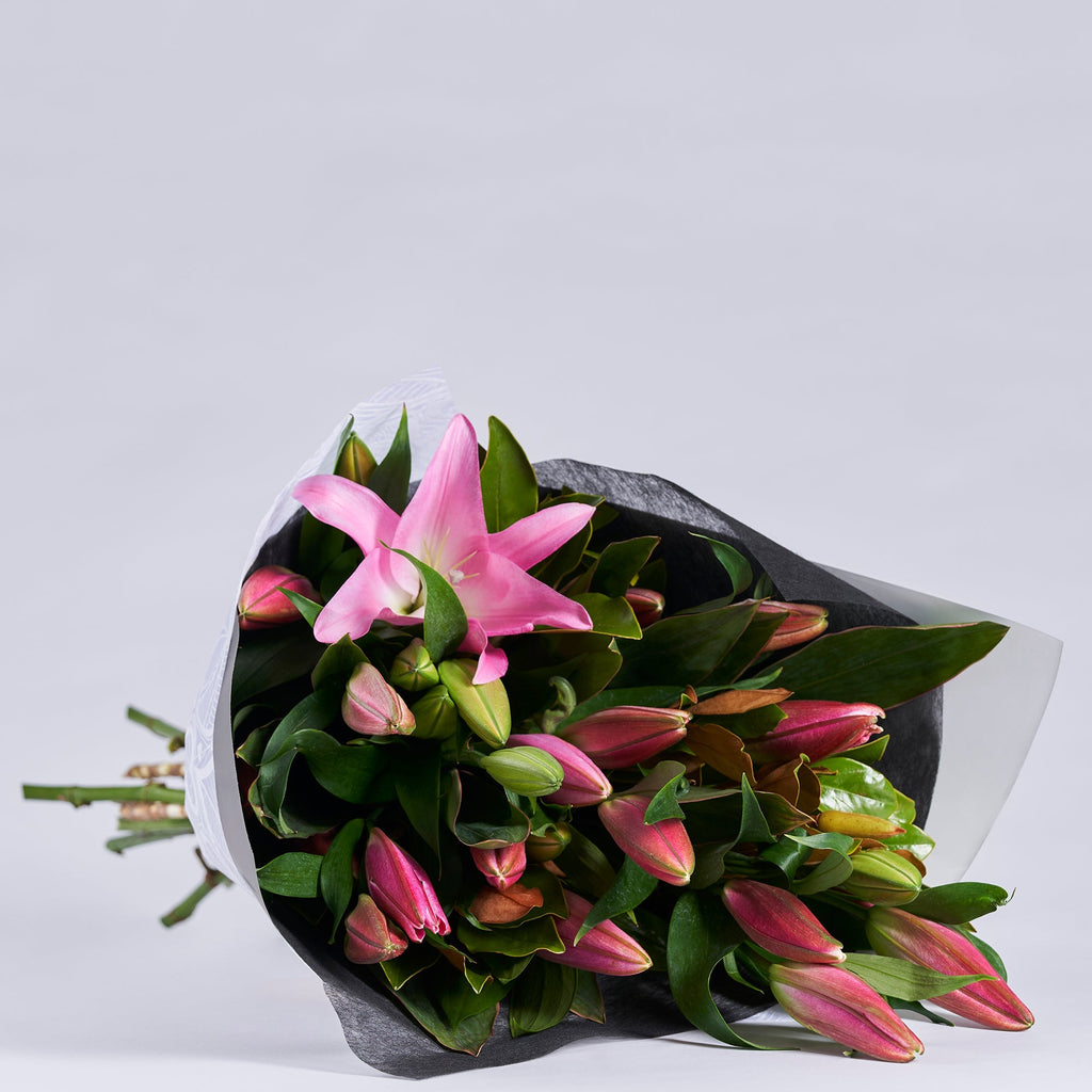 Freshly Cut Oriental Lily